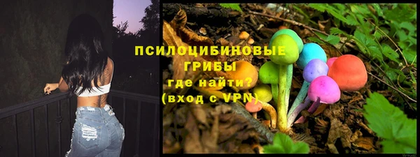 сатива Нея