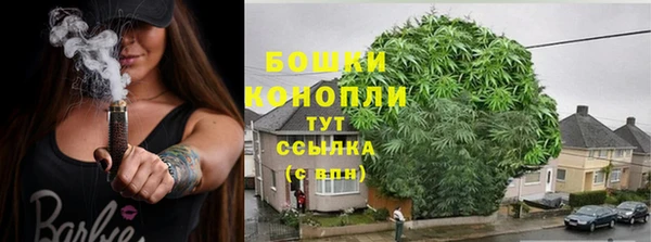мдпв Новозыбков