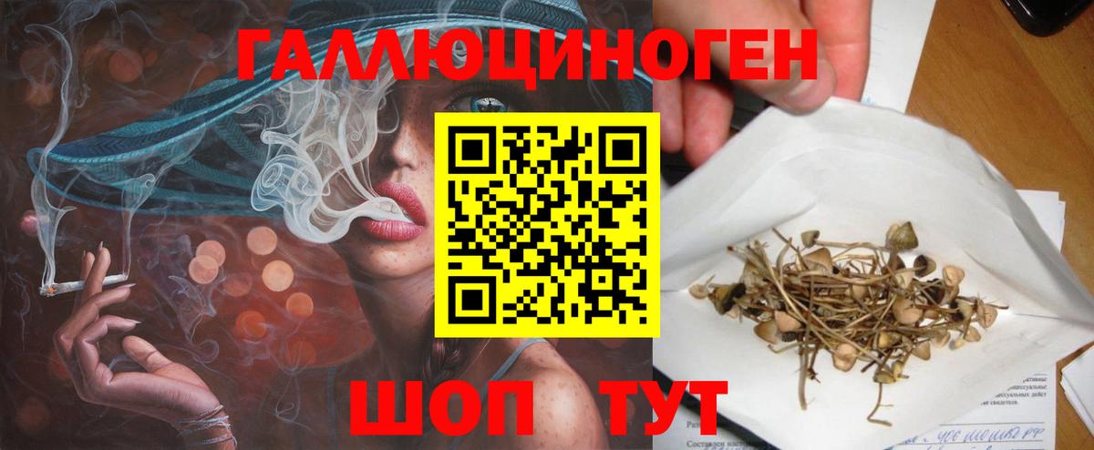 Псилоцибиновые грибы GOLDEN TEACHER Новоалтайск